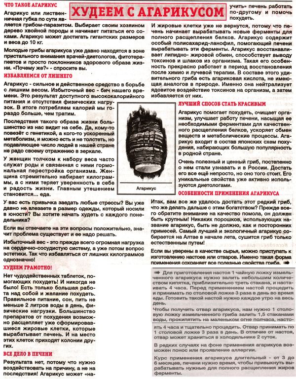 Агарик гриб 100 гр. в Санкт-Петербурге