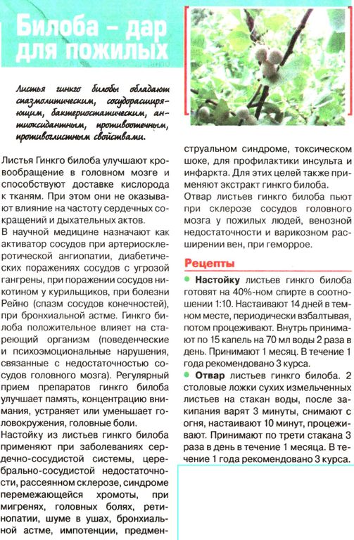 Гинкго билоба, лист 50г в Санкт-Петербурге