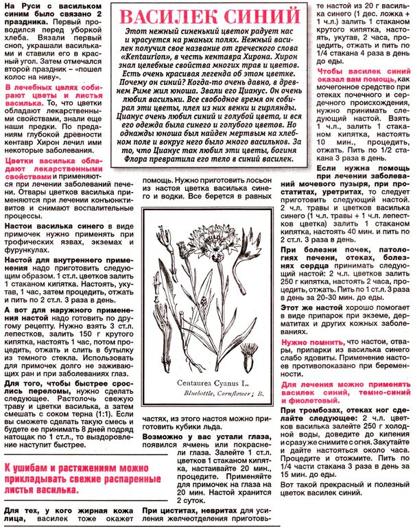 Василек цветки 100 гр. в Санкт-Петербурге