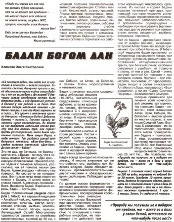 Бадан лист 100 гр. в Санкт-Петербурге