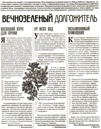 Можжевельник плод 100 гр. в Санкт-Петербурге