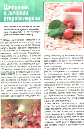 Шиповник плоды 100 гр. в Санкт-Петербурге