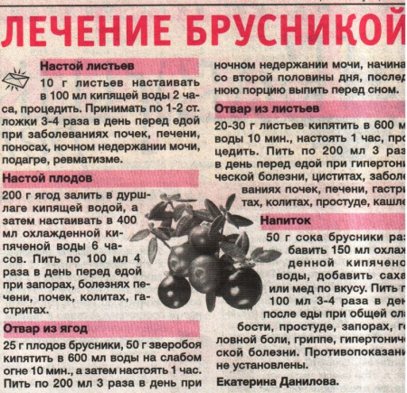 Брусника лист 100 гр. в Санкт-Петербурге