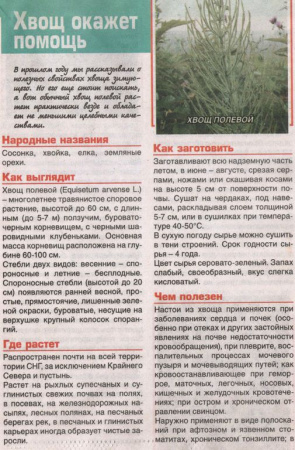 Хвощ трава 200 гр. в Санкт-Петербурге