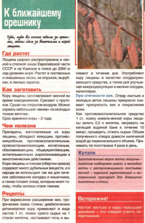 Лещина лист 200 гр. в Санкт-Петербурге