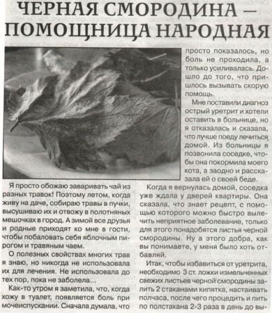 Смородина лист 200 гр. в Санкт-Петербурге