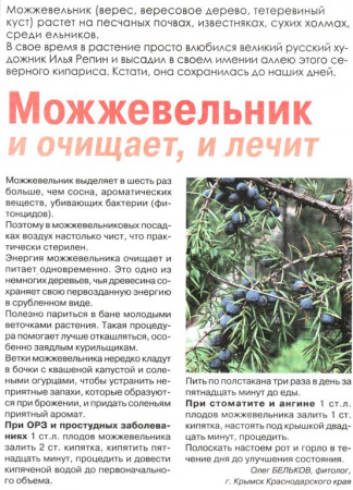 Можжевельник плод 100 гр. в Санкт-Петербурге